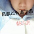 姜小皮 - 大起大落无人闻