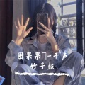 图果果吖 - 高端车载 (DJ版)