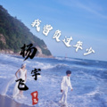 杨先生 - 我曾负过年少