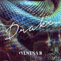 Vlntna B - Drake