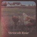 teresa brewer - Rose Of San Antone