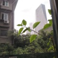 王夕阳 - 虞美人·春花秋月何时了