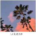 光头佬 - 硬曲大赦天下