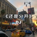 染哥 - 还是分开 (DJ)