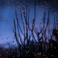 Sonidos De Lluvia y Tormentas、Música relajante con sonidos de la naturaleza、Piano Relajante - Limpieza Pacífica