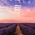 Sleep Magic Baby Shusher - Relaxing Sober Noises for Sleeping
