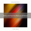 Sleep and Feel the Pleasure of Noises