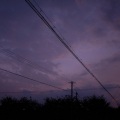 思凡 - bad guy