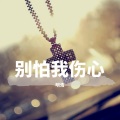 明浩 - 别怕我伤心