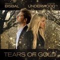David Bisbal、Carrie Underwood - Tears Of Gold