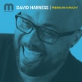 Homero Espinosa、Viv May、David Harness - A Little Persuasion