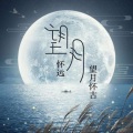 周运炫 - 望月怀远 望月怀古(国语)