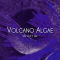 Volcano Algae