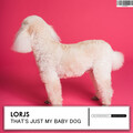 Lorjs - That's Just My Baby Dog