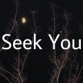 故障人类-C99、台灯家的果妹 - Seek You