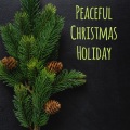 The Merry Christmas Players、Christmas Songs Music - Our Savior's Infants Cries Were Heard