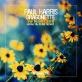 paul harris、Dragonette、Nora En Pure - One Night Lover (Nora En Pure Remix)