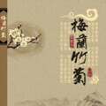 夏松林 - 菊 (纯音乐)