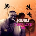 Kweli - I Dey Like Am (Explicit)