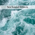 Sea Sounds、Nature Sounds - Ocean Beach Sound