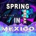 AJian_Dj阿健 - Spring Break in Mexico (Remix)