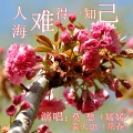 萤火虫 - 人海难得一知己