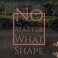 The Ventures - No Matter What Shape