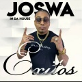 Jhon Wayne、Lapiz Conciente、Joswa In Da House - Follar Es Bueno (Remix|Explicit)