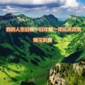 烟花听夏 - 如果我们没有相遇，彼此又在那里