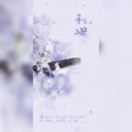 心甜、潮尘 - 叙世 (师徒合唱版)