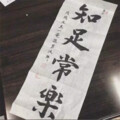 沈晴 - 越南干声上头旋律