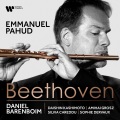 emmanuel pahud - II. Tempo di Minuetto ma molto moderato e grazioso