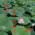 云殇 - 你是葬了我的坟