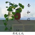 陈缘 - 春和你