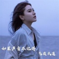 气质武道 - 红旗H9酷炫炸街 (DJ版)