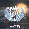 Amnesia - Way to fly 2022 (Explicit)