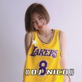 Dj Nico - Hot Trend (Remix)