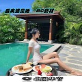 MC药材 - 你若三冬