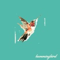 Hummingbird