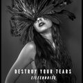Eileen Noise - Destroy your tears
