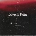 Tolga Mahmut - Love Is Wild