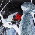 Swierczevsky、Toshi - Onyx (Explicit)