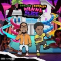 Wanna Slide (feat. Pnb Rock)(Explicit)