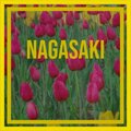Mr. Acker Bilk And His Paramount Jazz Band - Nagasaki
