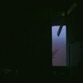 Táo - Có một khoảng thời gian