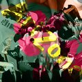 arizona (Explicit)