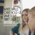 White Walls/Can't Hold Us/Same Love/Thrift Shopfeat. Jaclyn Davies (Acoustic Mashup)