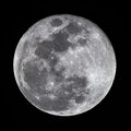 DJ TED - Moonlight