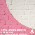 Brick by Brick