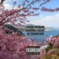 LVLY、Amber-Leah M Timmons - Highschool (Explicit)